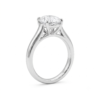 Oval-Cut Cathedral Engagement Ring-2